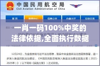 一肖一码100%中奖的法律依据,全面执行数据方案_基础版6.521