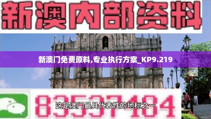 新澳门免费原料,专业执行方案_KP9.219