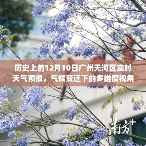 气候变迁下的多维度视角，广州天河区历史天气预报探讨（12月10日实时天气预报）