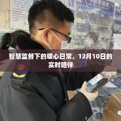 智慧监督下的暖心日常，实时陪伴的温馨时光（12月10日）