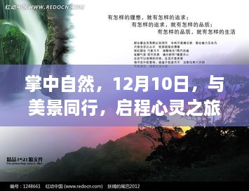 掌中自然启程心灵之旅，与美景同行，探寻自然之美（12月10日）