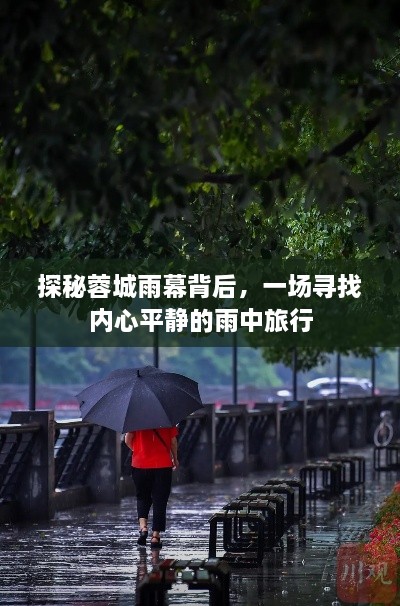 蓉城雨幕下的心灵之旅，雨中探寻内心平静