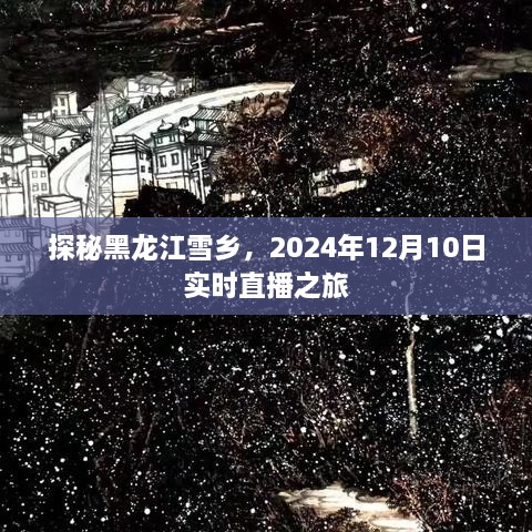 2024年12月11日 第8页