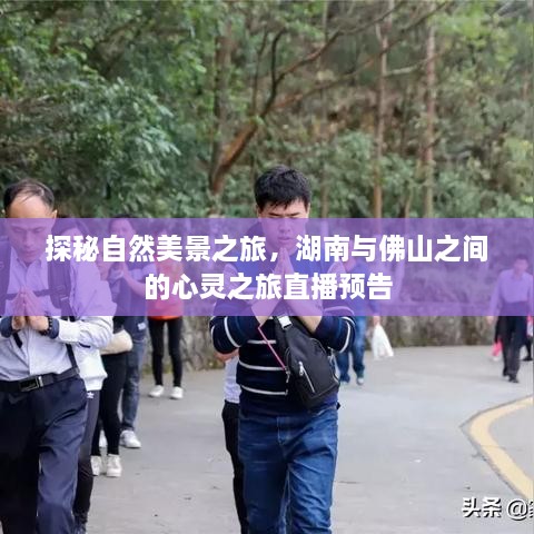 探秘自然美景之旅，湖南与佛山的心灵之旅直播探秘