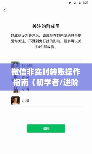 微信转账操作指南，从初学者到进阶用户的全方位指南