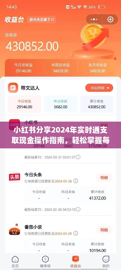 小红书教你掌握2024年实时通支取现金操作指南，细节详解！