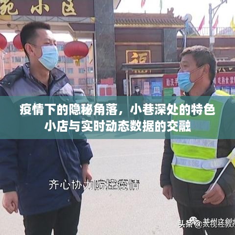 疫情下的隐秘角落，小巷特色小店与实时数据的交融之旅