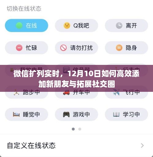 微信扩列实时，12月10日高效添加新朋友与拓展社交圈策略