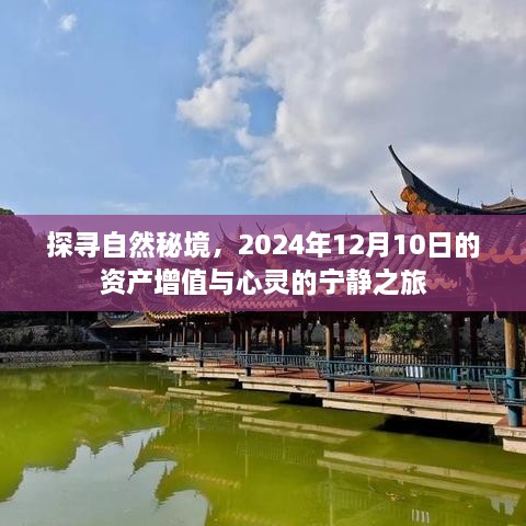 2024年12月11日 第4页