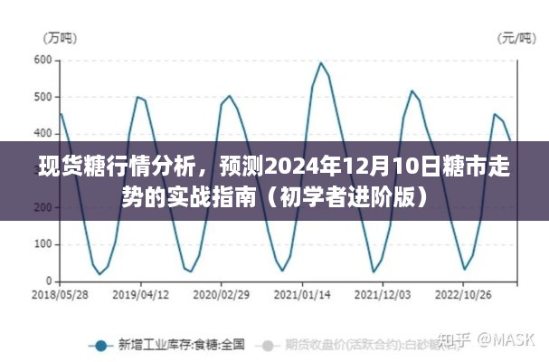 实战指南，现货糖行情分析预测，初学者进阶版——聚焦2024年糖市走势展望