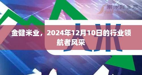 金健米业，行业领航者风采展现，2024年12月10日瞩目时刻