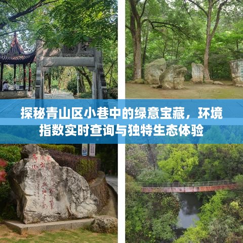 青山区小巷绿意宝藏，环境指数实时查询与独特生态体验之旅