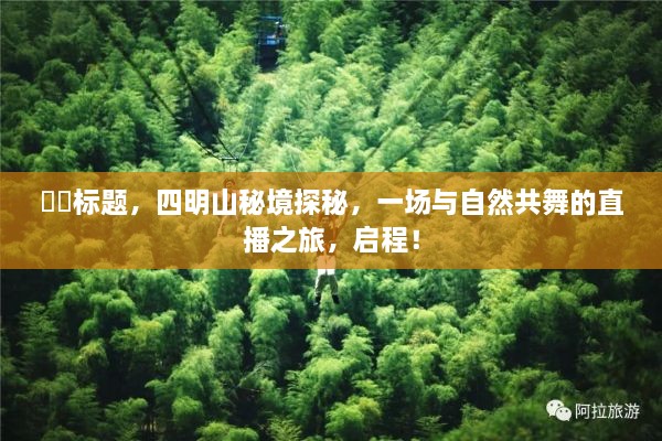 四明山秘境探秘，与自然共舞直播之旅启程！