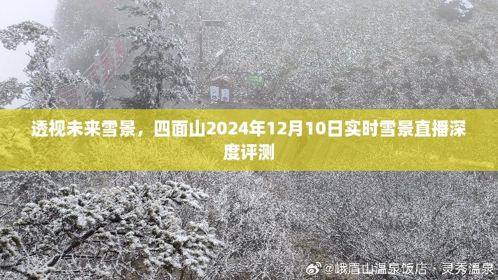 四面山未来实时雪景直播深度评测，透视雪景之美，展望未来的雪域仙境