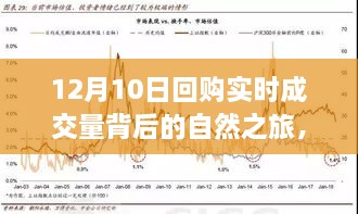 12月10日回购实时成交量背后的心灵探索，追寻内心的宁静与平和之旅