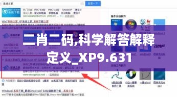 二肖二码,科学解答解释定义_XP9.631