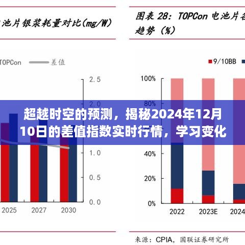 2024年12月12日 第50页