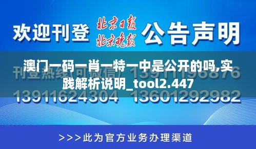 2024年12月12日 第45页