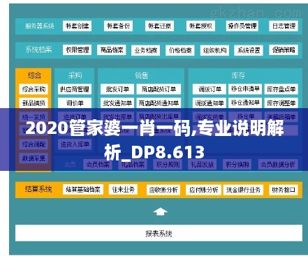 2020管家婆一肖一码,专业说明解析_DP8.613