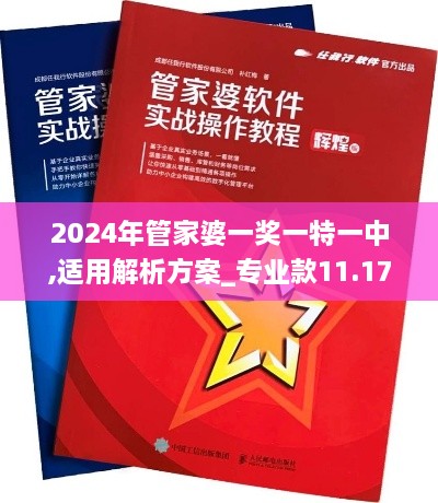 2024年管家婆一奖一特一中,适用解析方案_专业款11.179