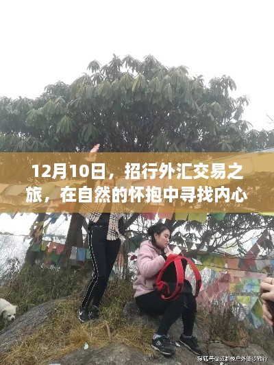 招行外汇交易之旅，自然怀抱中的心灵富足与平和探索