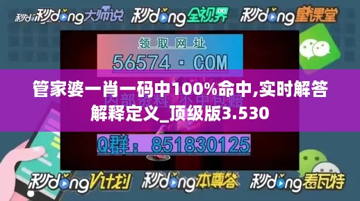 2024年12月12日 第43页