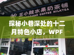 十二月小巷深处的特色小店探秘，WPF实时更新UI的魅力体验