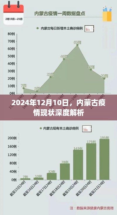 2024年12月12日 第42页