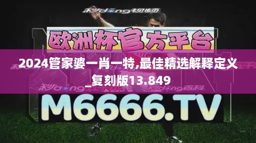 2024管家婆一肖一特,最佳精选解释定义_复刻版13.849