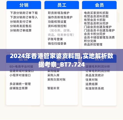 2024年香港管家婆资料图,实地解析数据考察_BT7.724