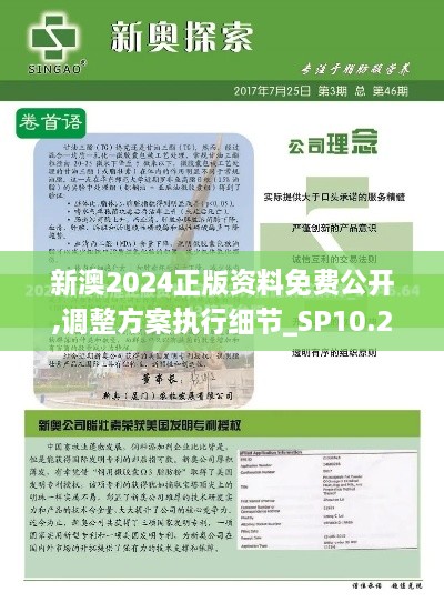 新澳2024正版资料免费公开,调整方案执行细节_SP10.201