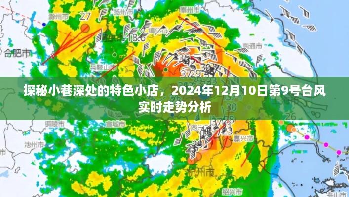 探秘小巷特色小店与台风走势分析，双重魅力揭秘之旅