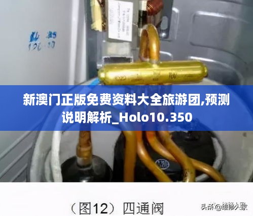 新澳门正版免费资料大全旅游团,预测说明解析_Holo10.350