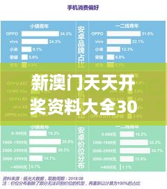 新澳门天天开奖资料大全309期,全面实施策略数据_开发版13.291