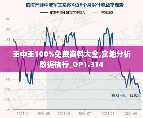 王中王100%免费资料大全,实地分析数据执行_OP1.314