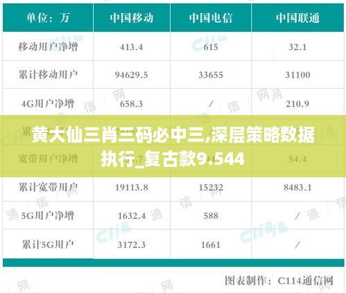 黄大仙三肖三码必中三,深层策略数据执行_复古款9.544