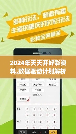 2024年天天开好彩资料,数据驱动计划解析_黄金版11.583