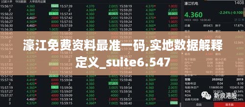 濠江免费资料最准一码,实地数据解释定义_suite6.547