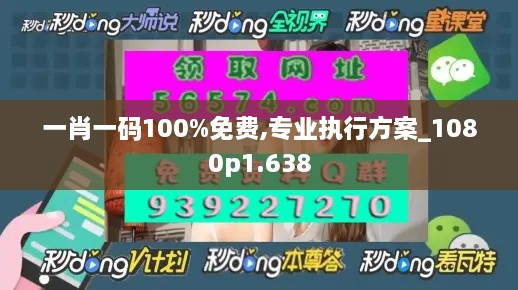 一肖一码100%免费,专业执行方案_1080p1.638