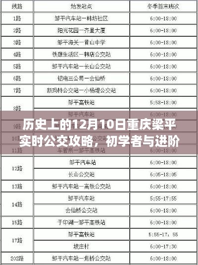 历史上的12月10日重庆梁平实时公交攻略，初学者与进阶用户指南