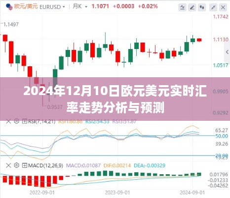 独家解析，2024年12月10日欧元美元汇率走势及预测