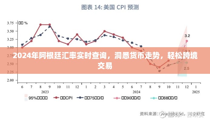 洞悉货币走势，2024年阿根廷汇率实时查询与跨境交易指南