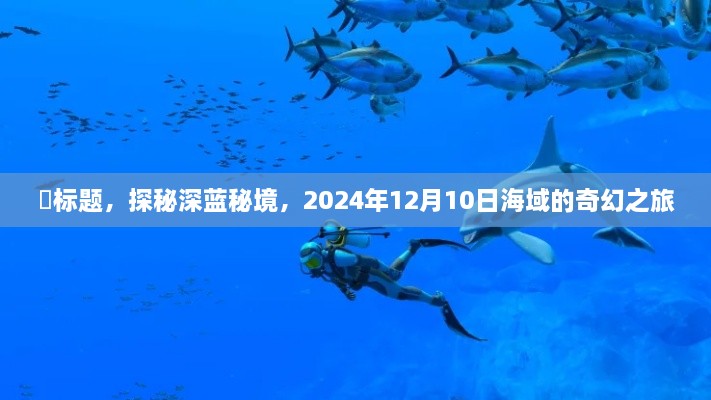 探秘深蓝秘境，海域奇幻之旅 2024年12月10日启程