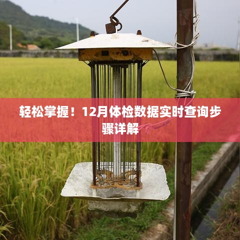 12月体检数据实时查询步骤详解，轻松掌握查询方法！