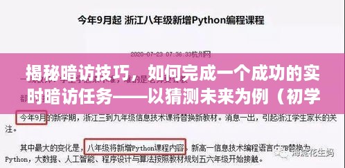 揭秘暗访技巧，如何完成一个成功的实时暗访任务——初学者与进阶用户指南，以猜测未来为例