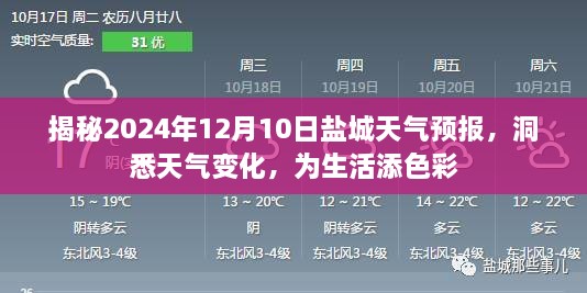 盐城天气预报揭秘，洞悉天气变化，为生活添彩（2024年12月10日）