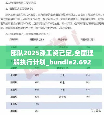 部队2025涨工资已定,全面理解执行计划_bundle2.692