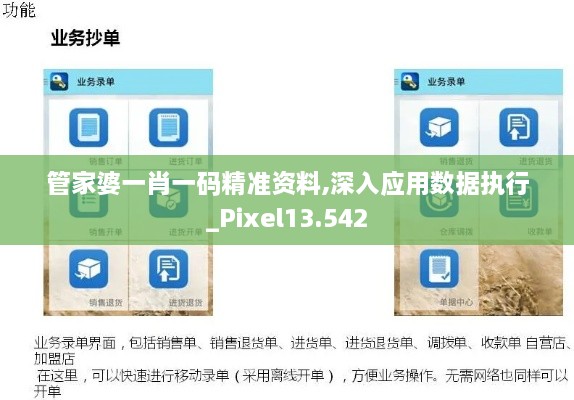 管家婆一肖一码精准资料,深入应用数据执行_Pixel13.542