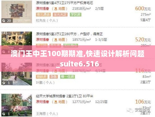 澳门王中王100期期准,快速设计解析问题_suite6.516