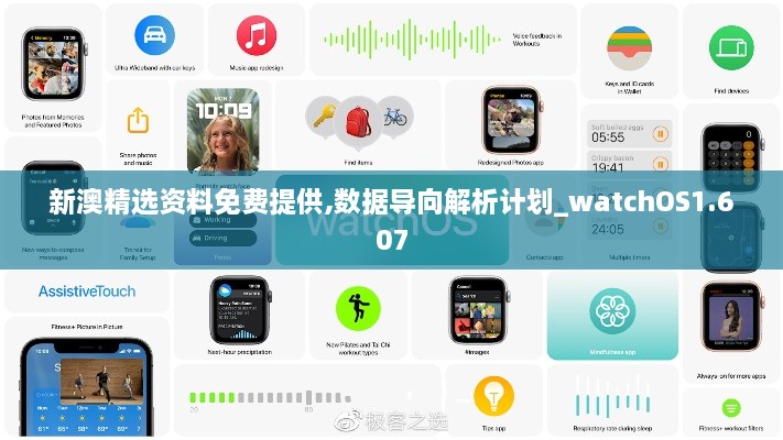 新澳精选资料免费提供,数据导向解析计划_watchOS1.607